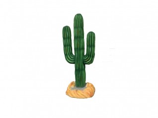 Cactus 0.90m