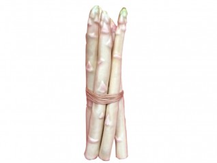 Légume asperge bouquet 5pcs artificielle