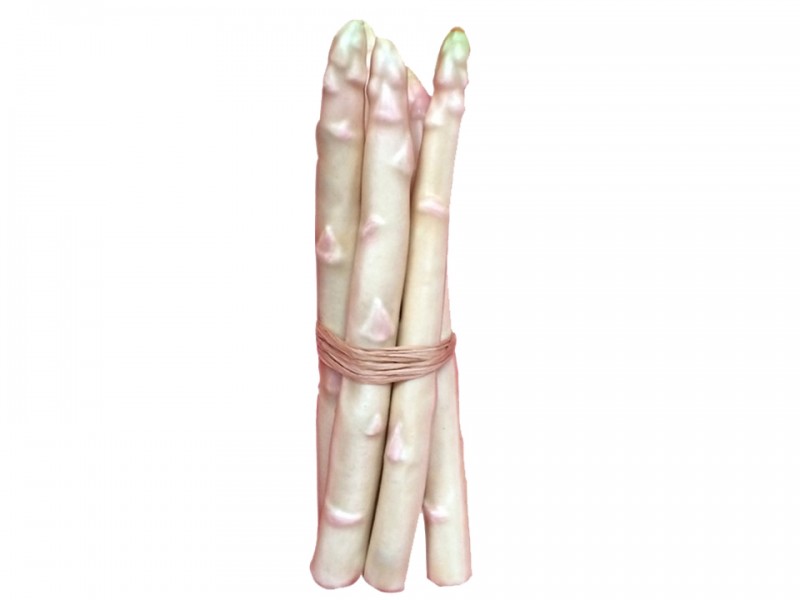 Légume asperge bouquet 5pcs artificielle