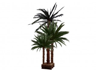 Ilot de 3 palmiers pour la location de décor à thème pirate et corsaire sur Dinan