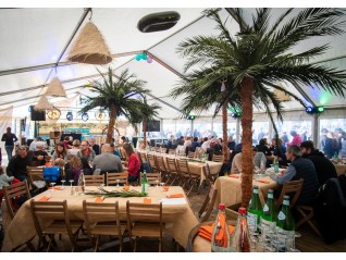 Palmier en location pour décor événementiel corsaire, cubain, exotique livraison sur Dunkerque, Cannes, St Nazaire.