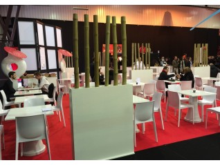 cloison bambou pour la création d'espace japonnais en location, Cherbourg Fougères
