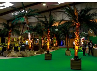 Palmier 4,00m en location pour soirée cubaine, exotique, corsaire, Tours Orléans
