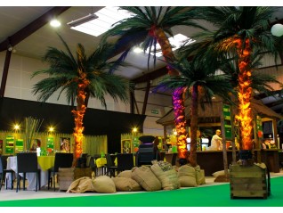Palmier 4,00m accessoire décoratif pour parc expo thème corsaire, exotique, Cuba, Angers Nantes