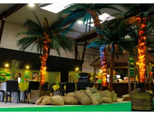 Palmier 6,00m disponible à la location pour parc expo thème corsaire exotique, Cuba, Rouen Caen