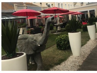 Eléphant en résine, décor pour animation thème jungle, La Rochelle, La Roche Sur Yon