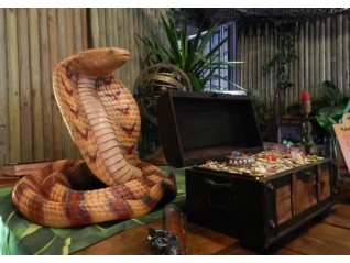 Cobra en résine en location pour événement thématique animaux, jungle, sauvage, livraison partout en France, Cannes Nice
