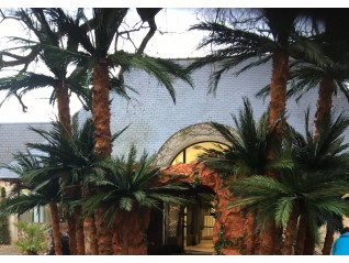 Loc d'îlot palmier pour décor à thème sur Lorient