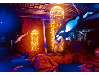 Orque 1.20 m en résine décor en loc pour animation autour du thème mer, marins, La Baule, Brest