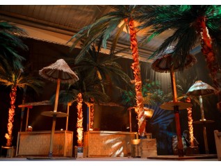 Palmier 4,00m en location pour anniversaire d'entreprise à thème corsaire exotique, cubaine, Dinard, Dinan