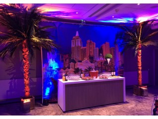 Bâche Las Vegas, élément décoratif soirée à thème casino, Cherbourg Strasbourg