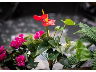 Anthurium artificiel bouquet rouge en location pour décor printemps, campagne, Alençon Dreux