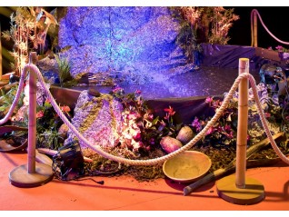 Bouquet artificiel bambou accessoire déco événement thématique exotique, plage, soleil, Toulouse La Rochelle