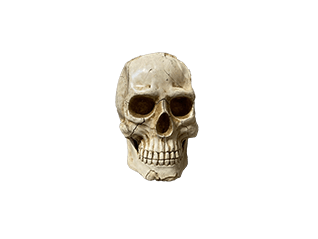 4001.01.230 - Tête de mort, accessoires pour déco pirates, corsaires, mer, livraison sur toute la France, Rennes, Bordeaux