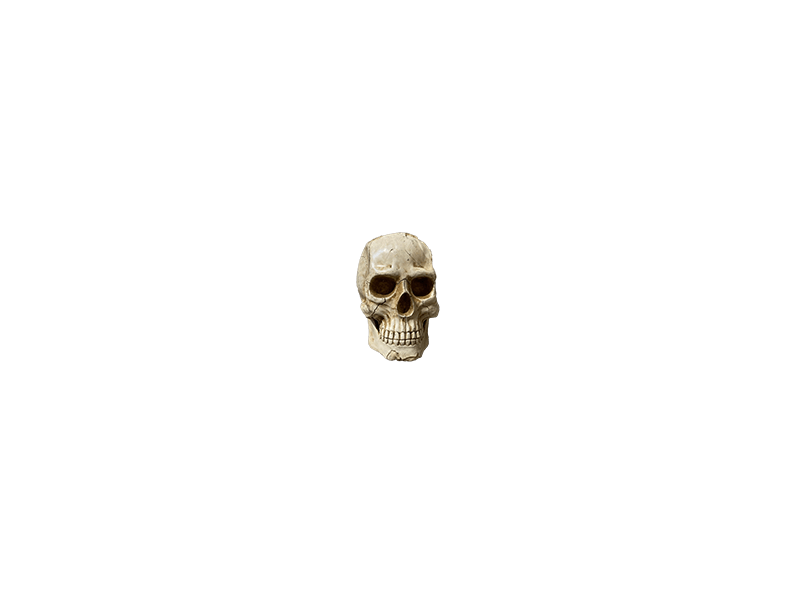 4001.01.230 - Tête de mort, accessoires pour déco pirates, corsaires, mer, livraison sur toute la France, Rennes, Bordeaux