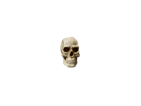 4001.01.230 - Tête de mort, accessoires pour déco pirates, corsaires, mer, livraison sur toute la France, Rennes, Bordeaux