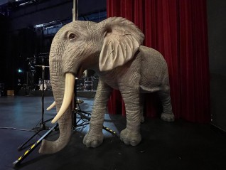 Location décor, éléphant en résine, scénographie asiatique, Livraison partout en France, Paris