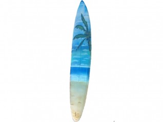 Planche exotique plage palmier, matériel pour thème exotique, plage, livraison partout en France, Brest Quimper