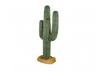 Cactus 1.80m
