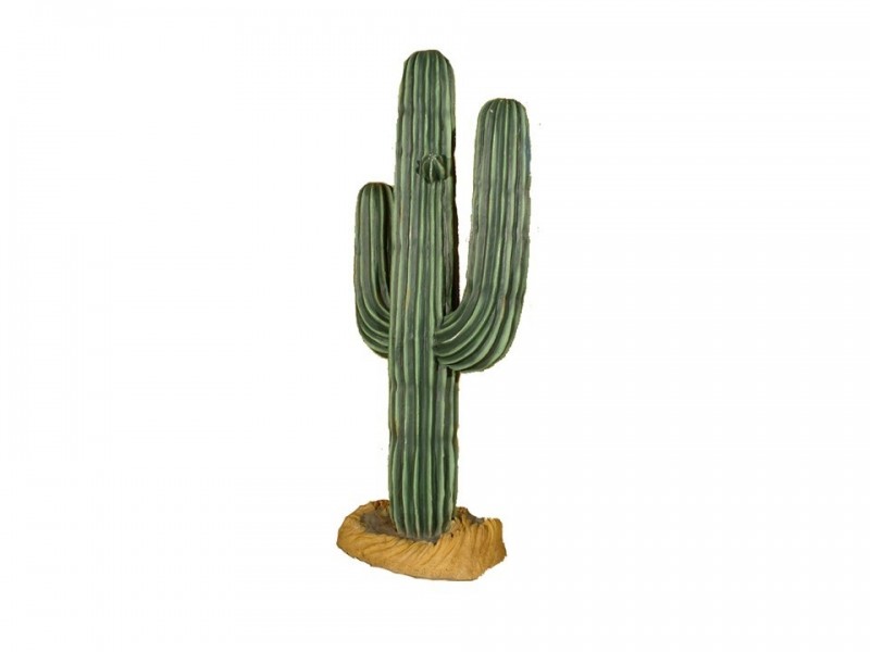 Cactus 1.80m