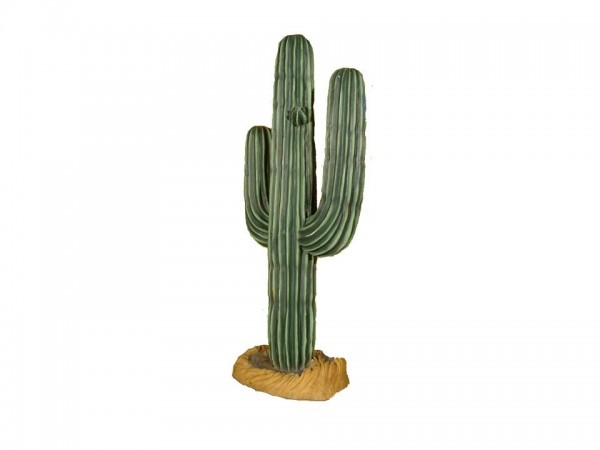 Cactus 1.80m