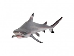 Personnage résine : Requin 1.20 m en oc pour spectacle thématique marins, livraison partout en France, Rouen Caen