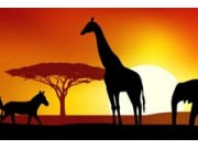 décors sur le thème afrique, savane, safari, jungle